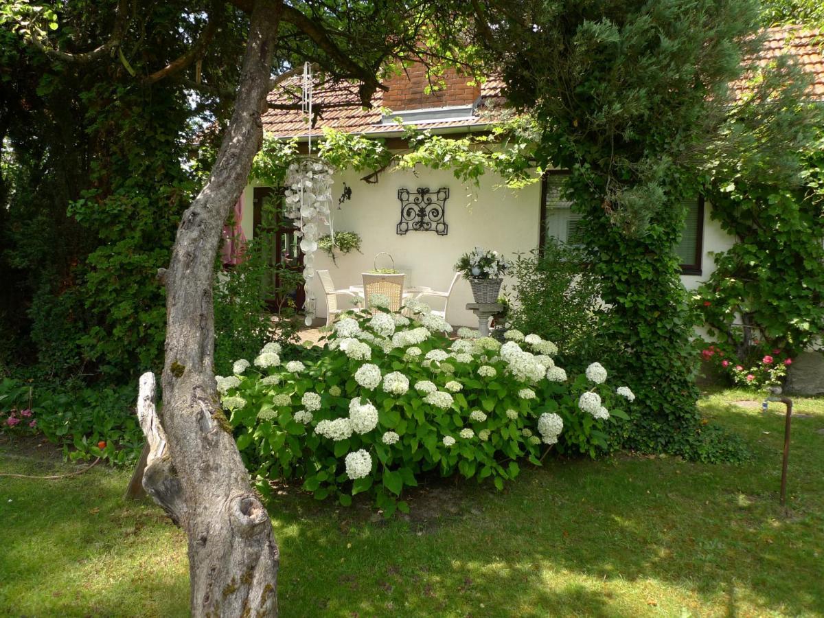 Gemütliches Bohnsdorf, Nähe Flughafen Schönefeld Ferienhaus